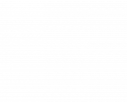 Review Steinberg Backbone